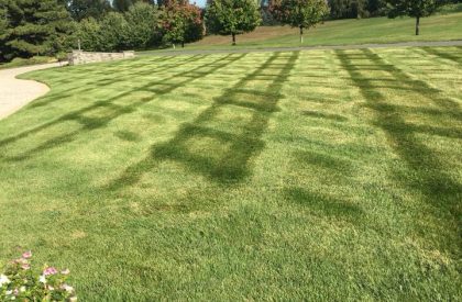 Drakes_Landscaping_NJ_Lawn_Maintenance (1)